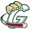 
										Gary SouthShore RailCats										